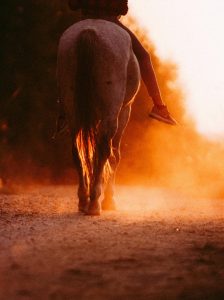 A rider on horseback traverses a dusty trail bathed in warm sunset light, creating a serene and picturesque scene.